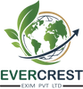 Translation missing: en.Evercrest accessibility.home